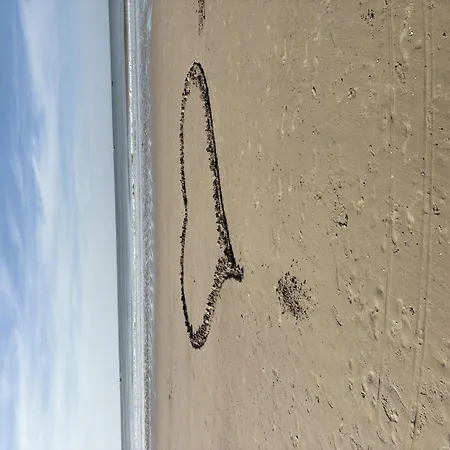 Zonnehaven With Seaview By Interhome Appartement